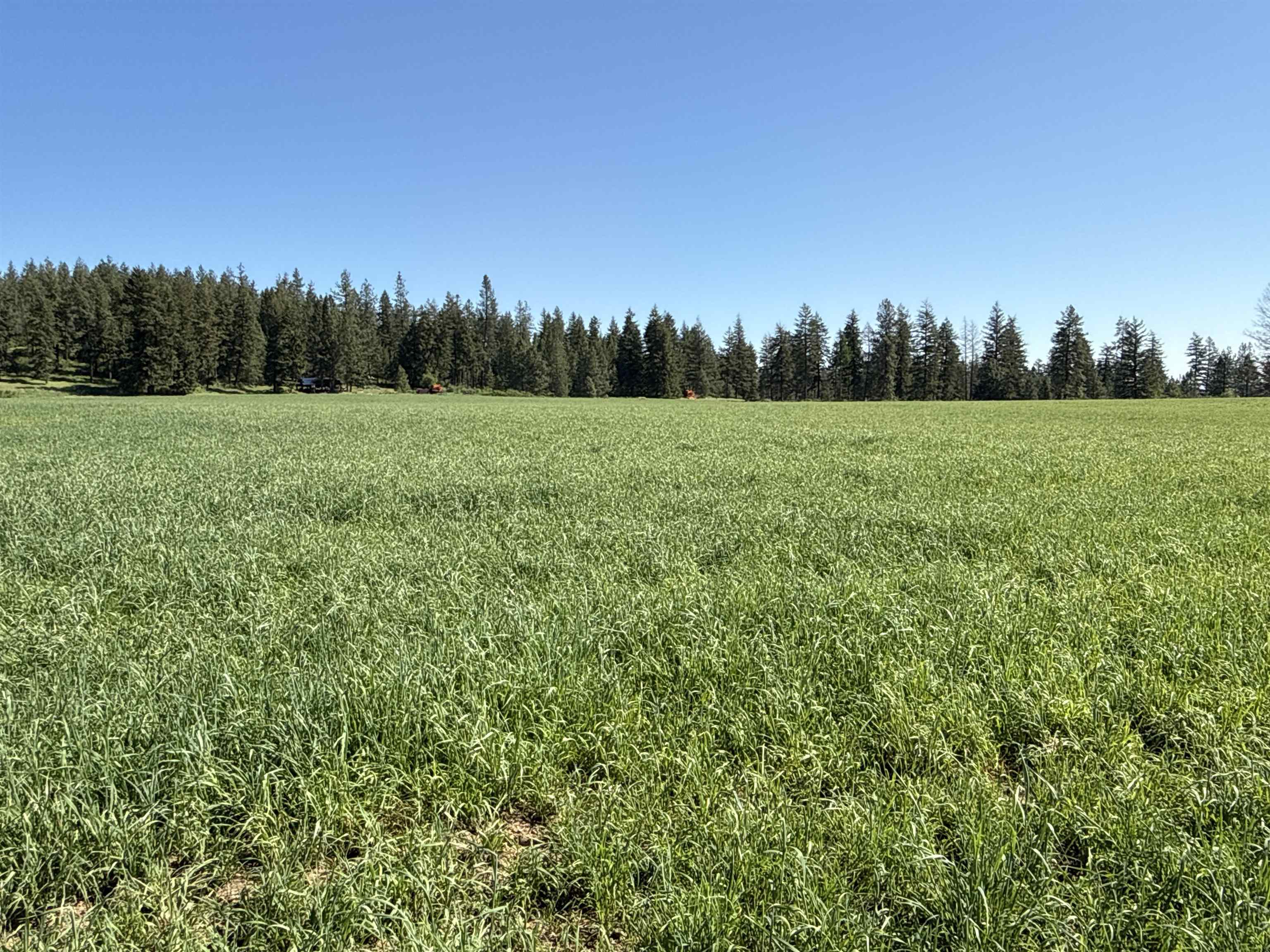 4881 A Carr Road Clayton, WA 99110 - Photo 29 of 44