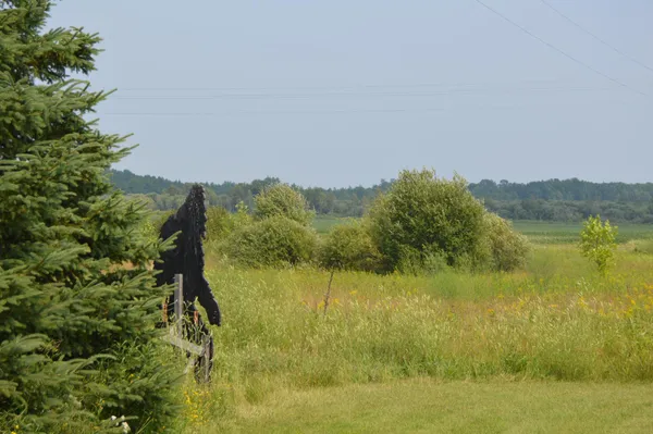 $210,000 | 1003 50th Avenue Northwest, Williams, MN 56686