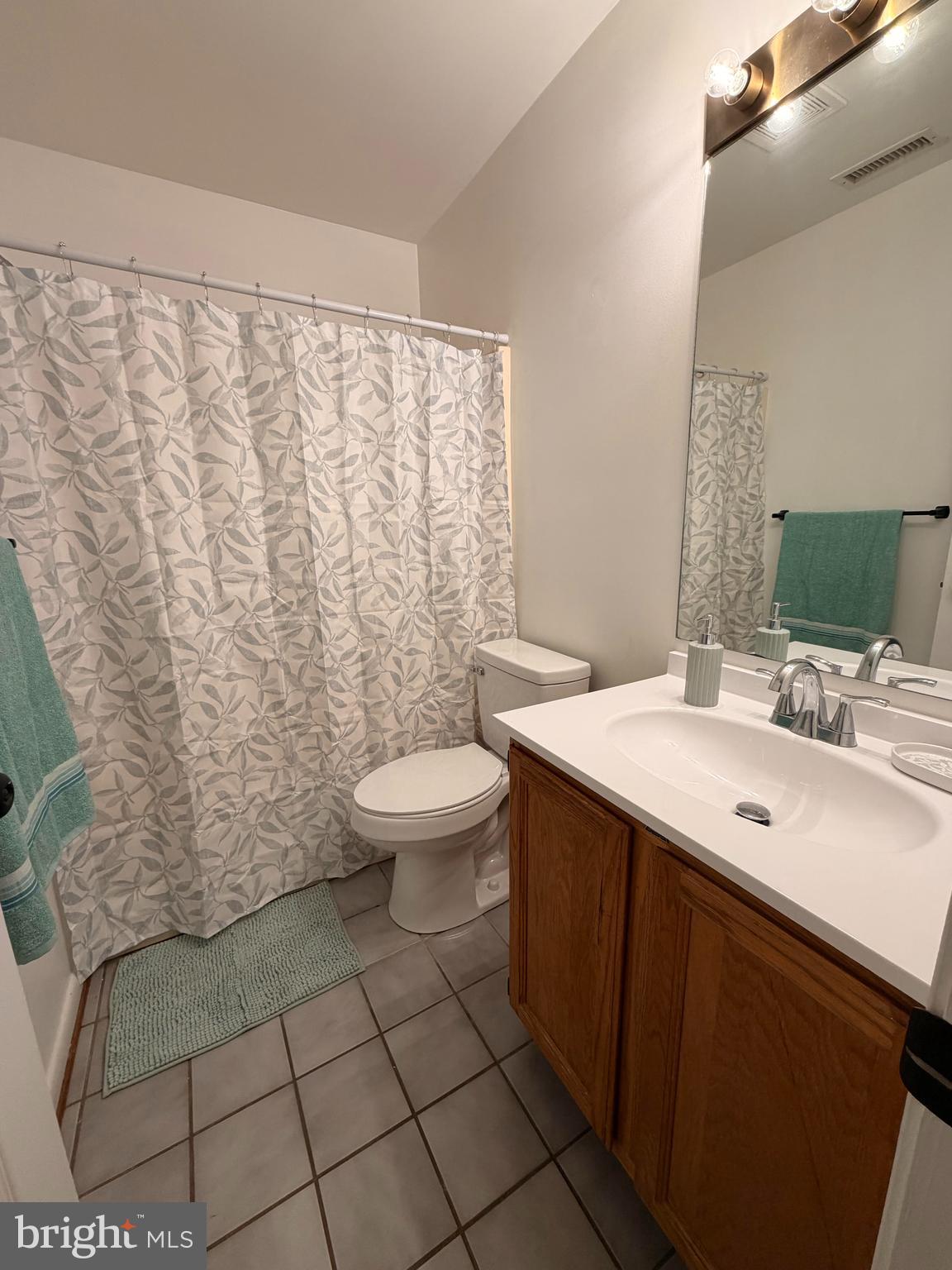 660 Ripplebrook Drive Culpeper, VA 22701 - Photo 15 of 19 a bathroom with a sink toilet and shower
