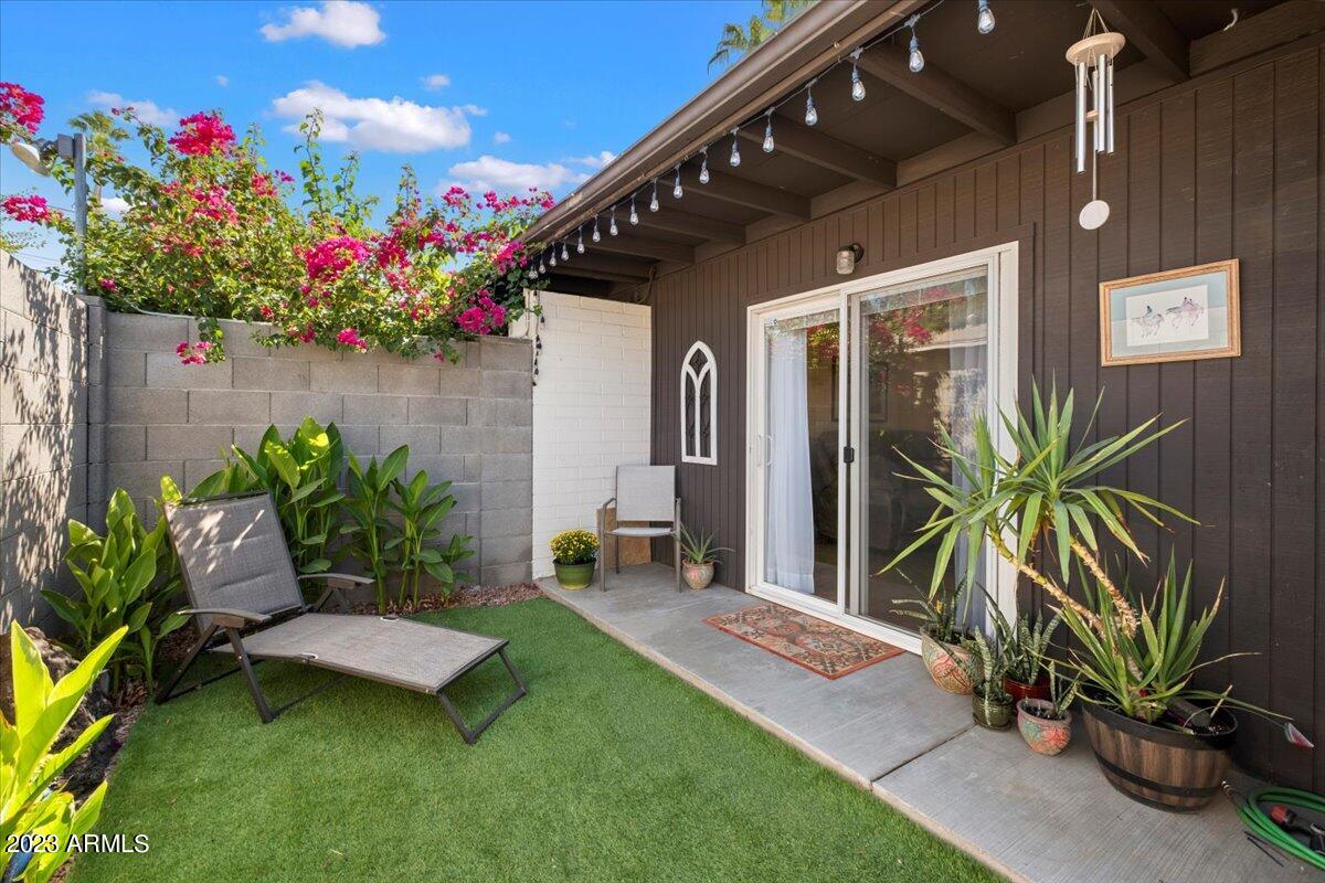18-Backyard