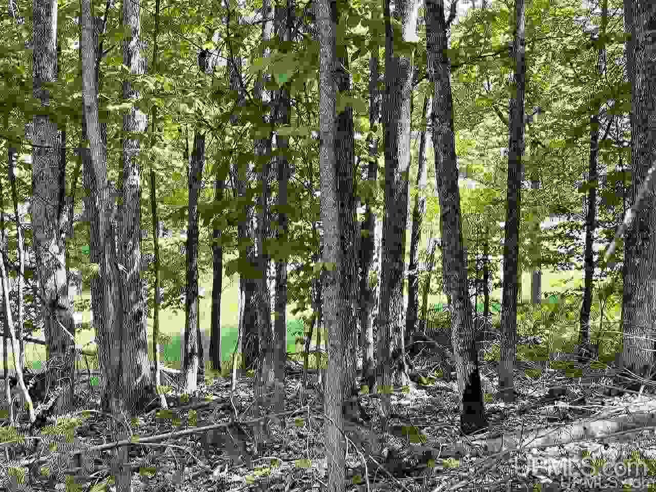 Tbd Tbd Northwoods Road Marquette, MI 49855 - Photo 5 of 31