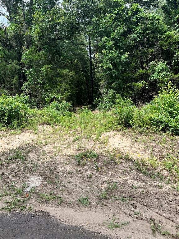 4112 VZ County Road Canton, TX 75103 - Photo 13 of 21