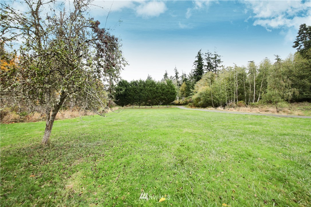 6416 Wahl Road Freeland, WA 98249 - Photo 34 of 40 a view of a field with trees in the background