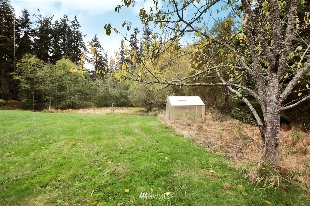 6416 Wahl Road Freeland, WA 98249 - Photo 35 of 40 a view of a trees with a yard