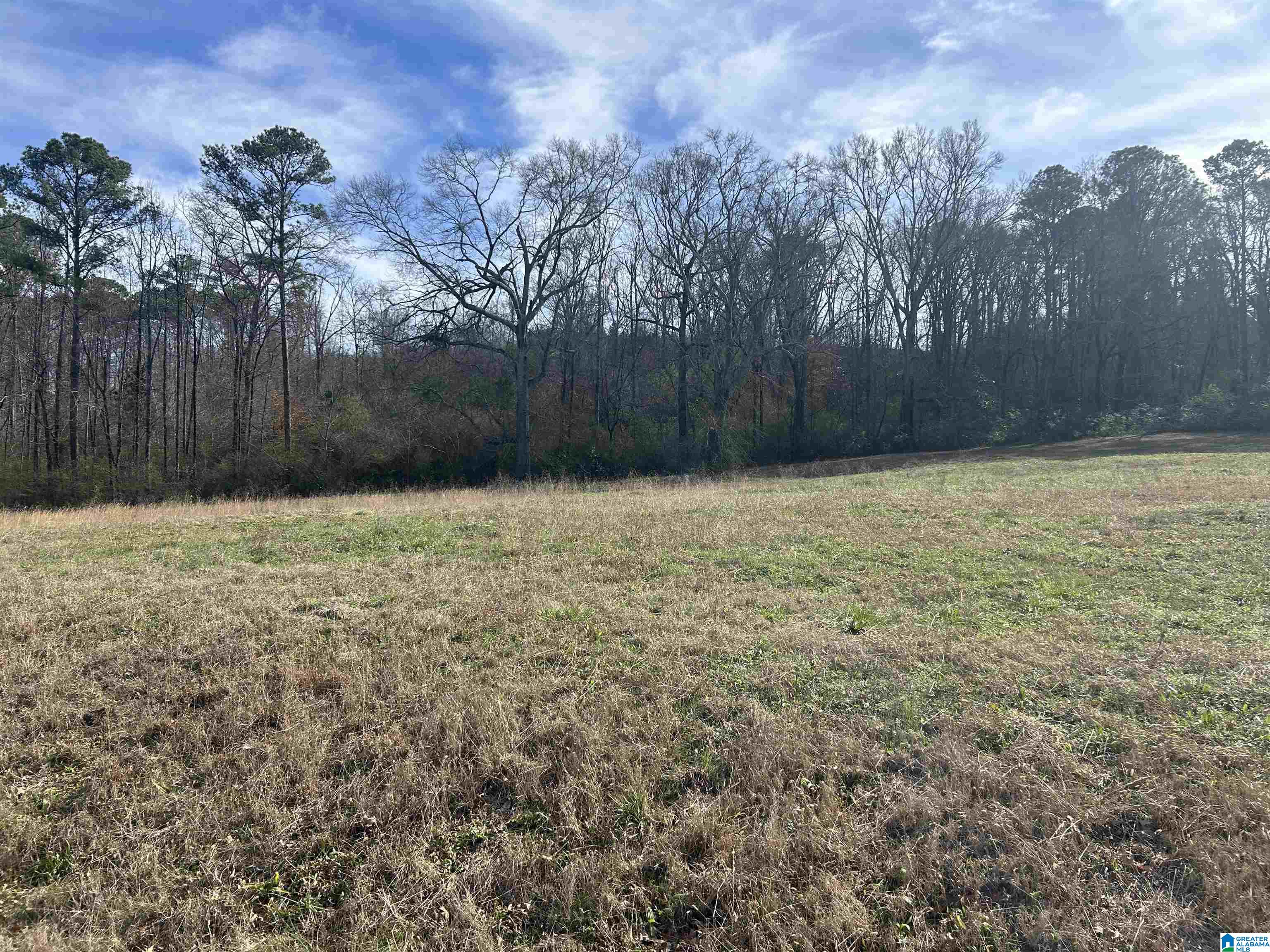 3450 Sweeney Hollow Road, Unit 20 ACRES Pinson, AL 35126 - Photo 4 of 6