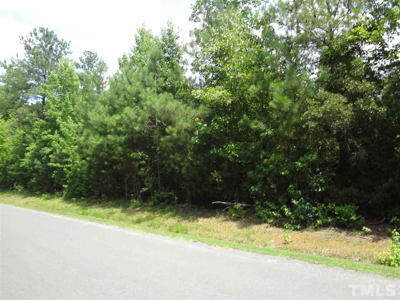 Lot 1 Harris Road Louisburg, NC 27549 - Photo 1 of 2 Gallery Image 1