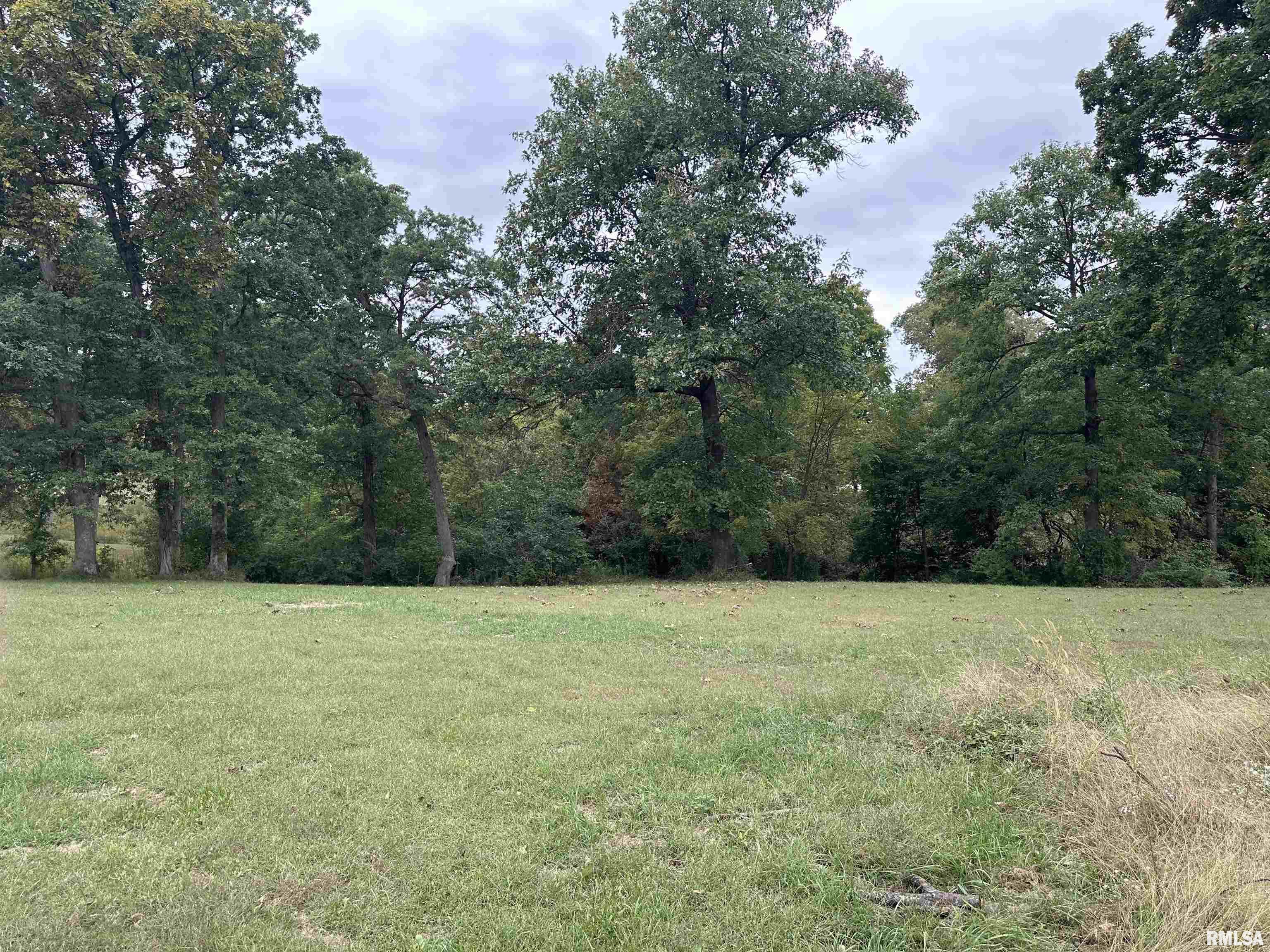 1271 Havens Road Roodhouse, IL 62082 - Photo 3 of 7