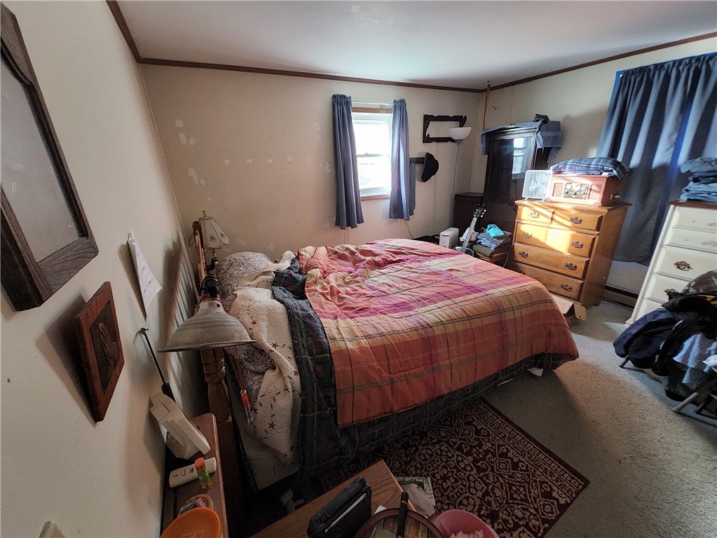 60100 Highway 415 Avoca, NY 14809 - Photo 14 of 19