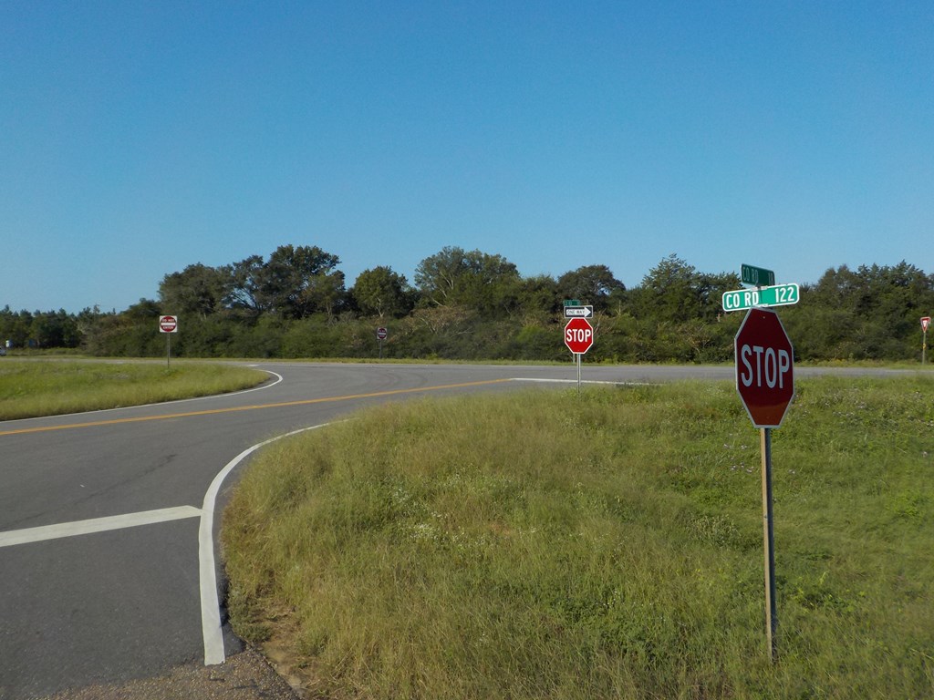 18/ Cty Road Headland, AL 36345 - Photo 14 of 22