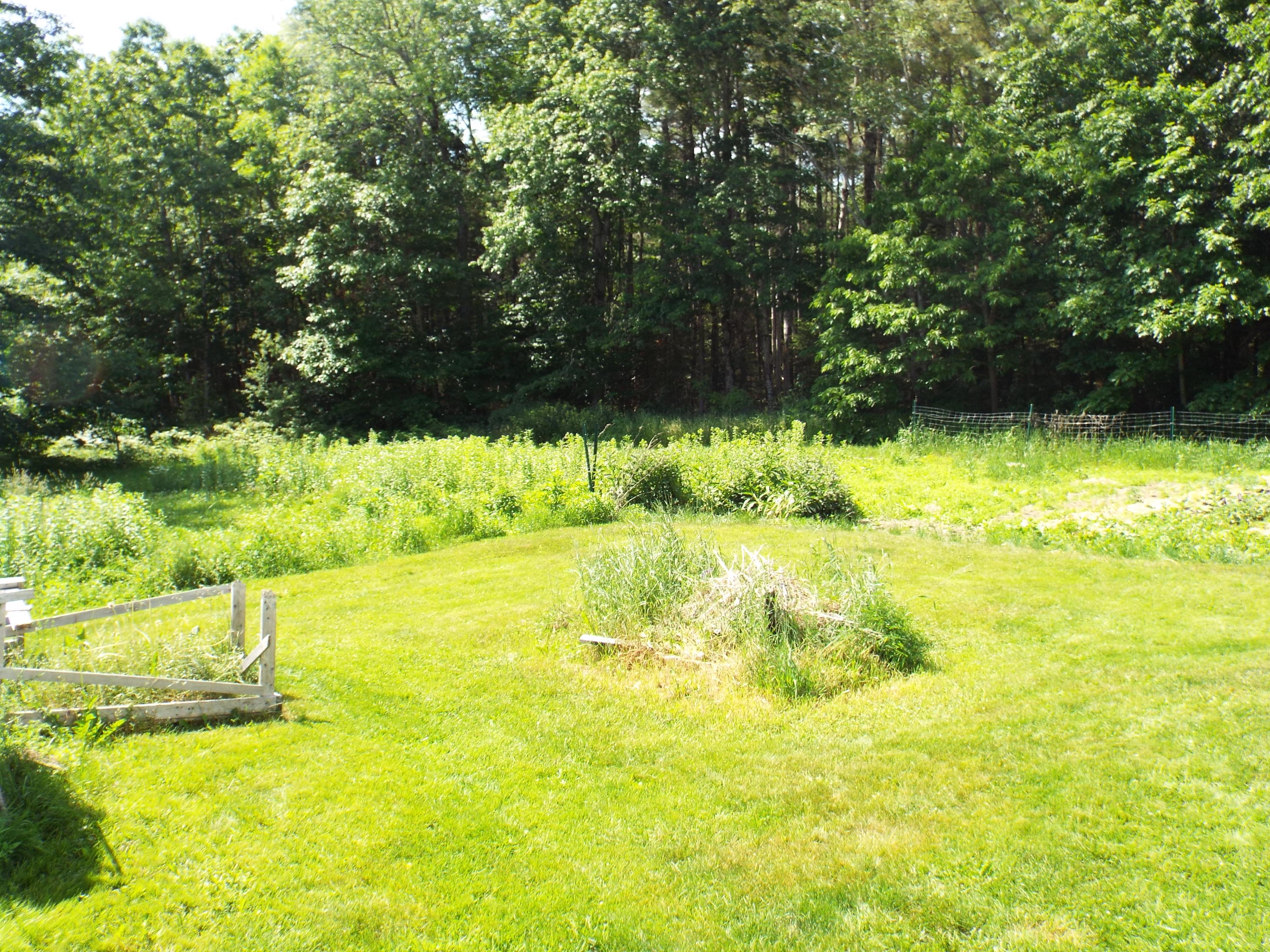 2901 Edinburg Road Old Town, ME 04468 - Photo 15 of 34 Edinburg 14