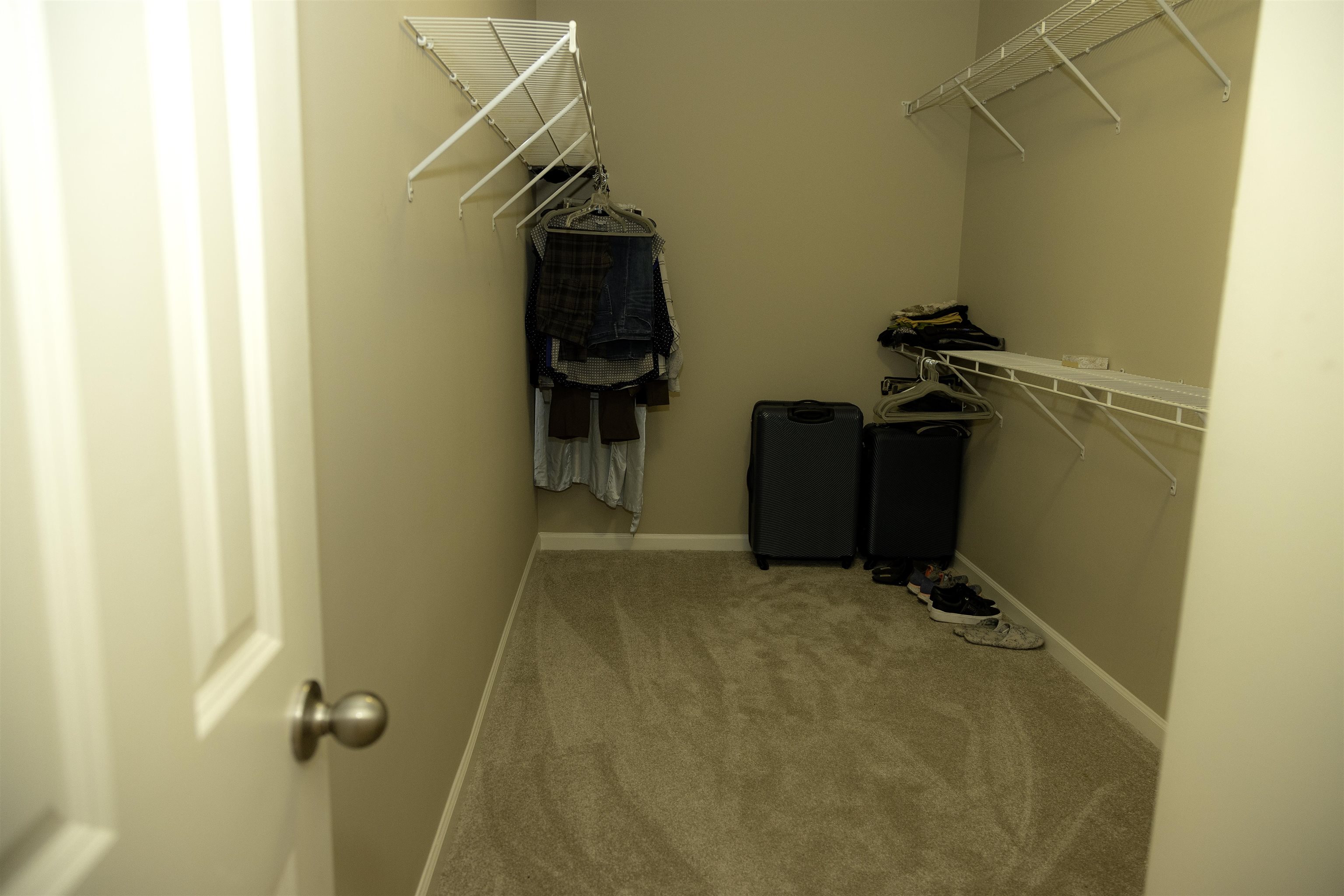 10420 Pilot Rock Road Collierville, TN 38017 - Photo 20 of 27 Primary Bedroom Large Walk in Closet