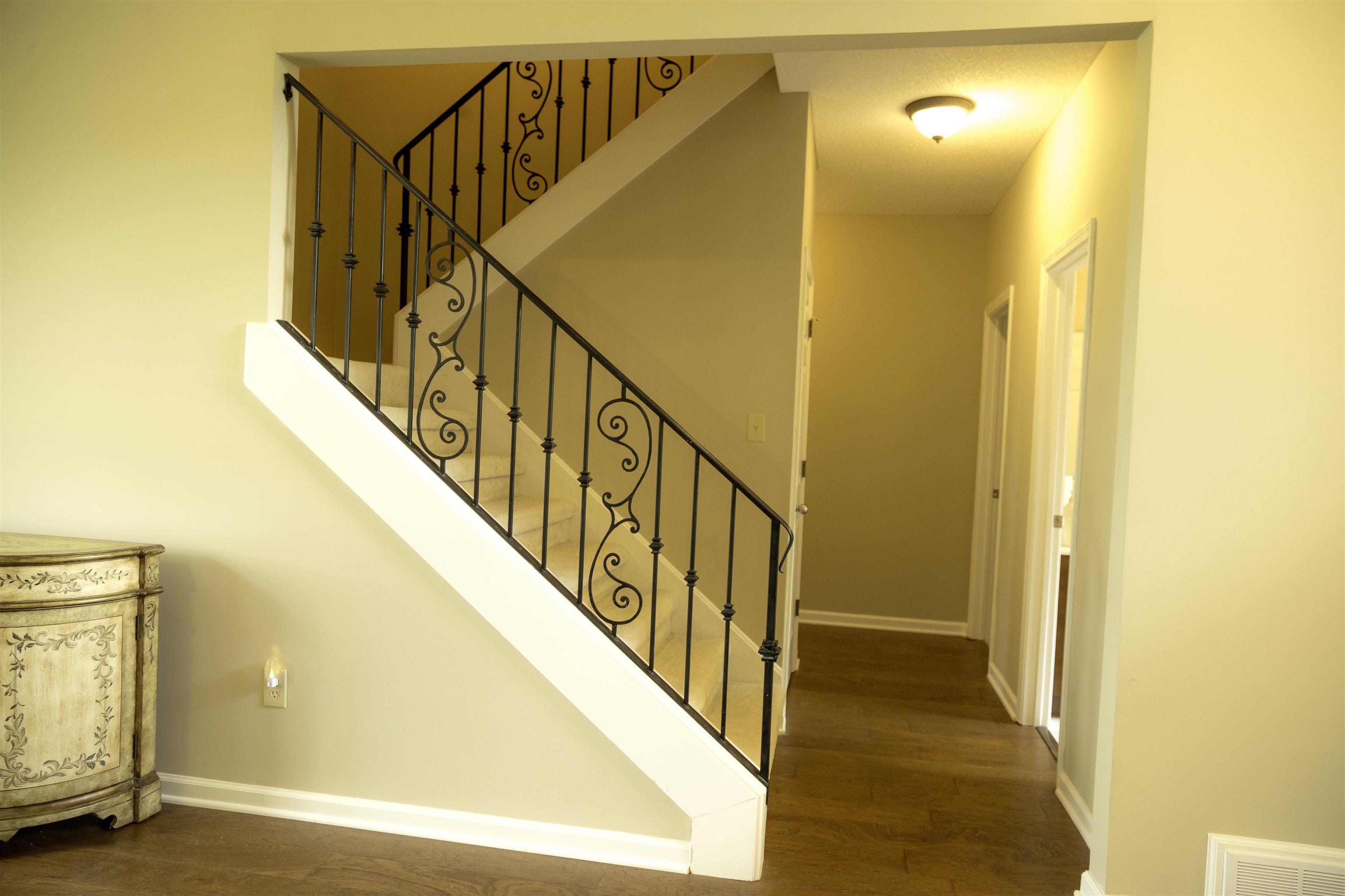 10420 Pilot Rock Road Collierville, TN 38017 - Photo 10 of 27 Beautiful black wrought iron new custom stair railing