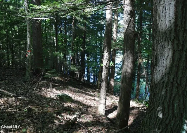 $150,000 | 36 Fuller Drive, Unit PRVT, Corinth, NY 12822