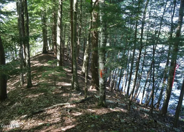 $150,000 | 36 Fuller Drive, Unit PRVT, Corinth, NY 12822