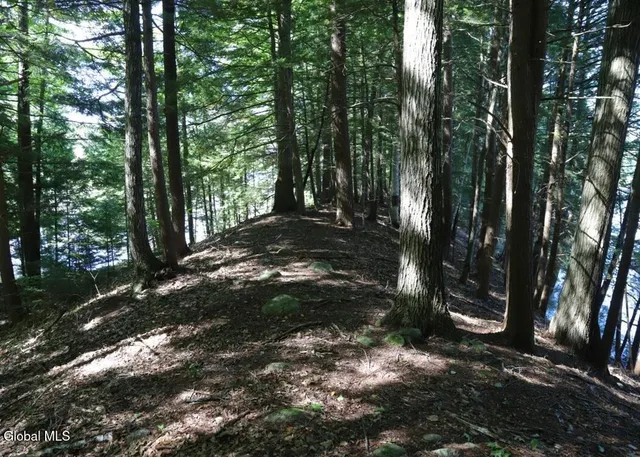 $150,000 | 36 Fuller Drive, Unit PRVT, Corinth, NY 12822