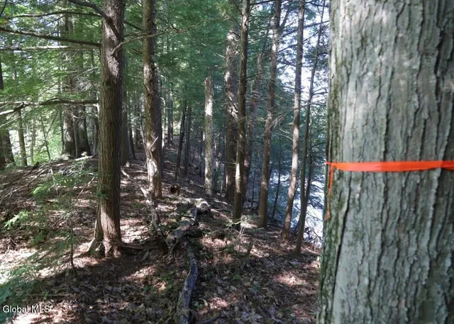 $150,000 | 36 Fuller Drive, Unit PRVT, Corinth, NY 12822