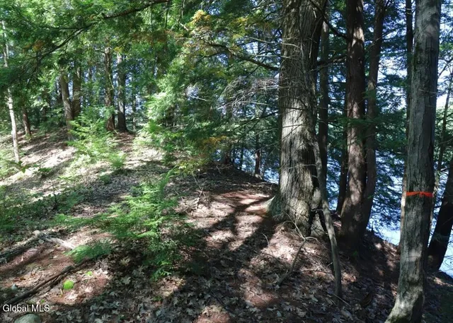 $150,000 | 36 Fuller Drive, Unit PRVT, Corinth, NY 12822