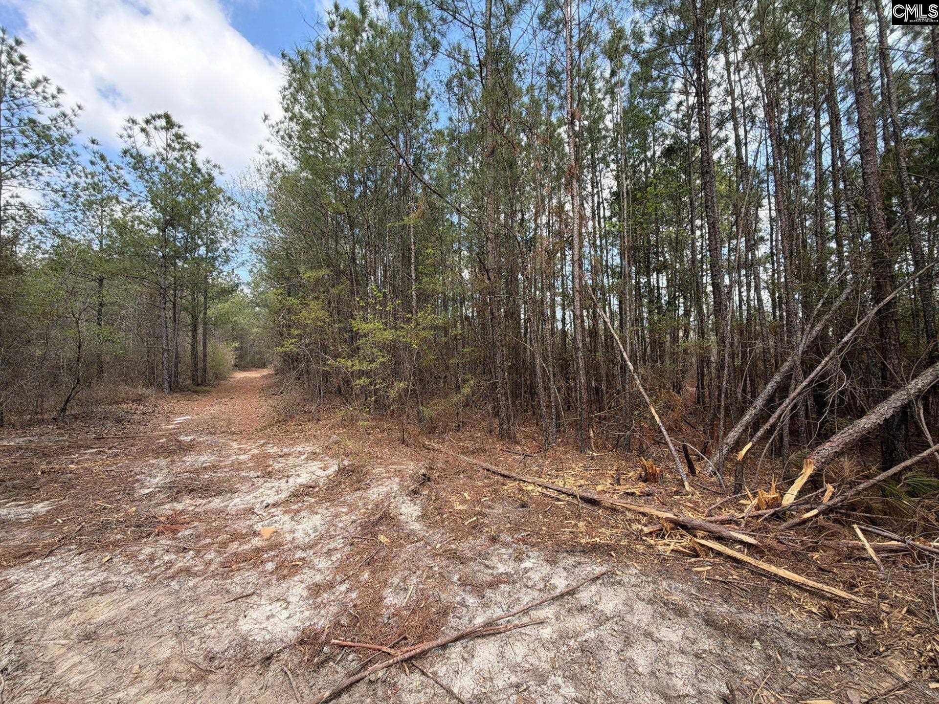 4 Mt Calvary Rd Ridge Spring Ridge Spring, SC 29129 - Photo 25 of 40