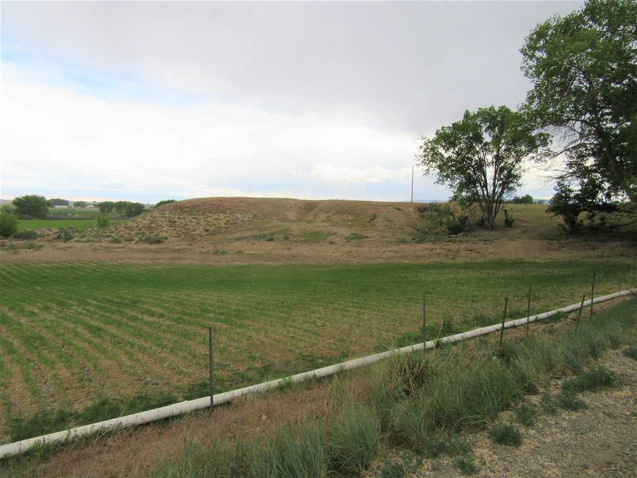 1876 6 Road Mack, CO 81525 - Photo 10 of 13 Gallery Image 10