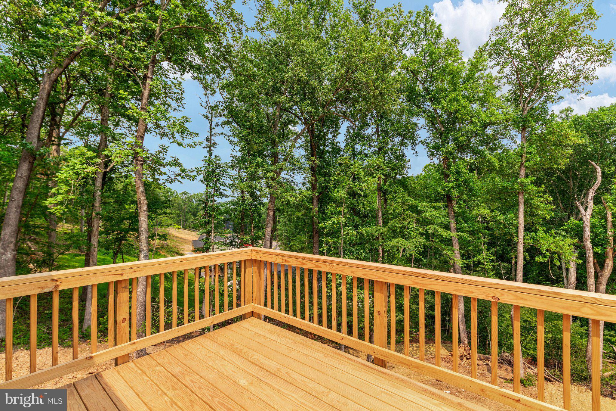3608 Howellsville Road Front Royal, VA 22630 - Photo 29 of 65 BY1A7537_3608 Howellsville Rd - Absolute Altitude
