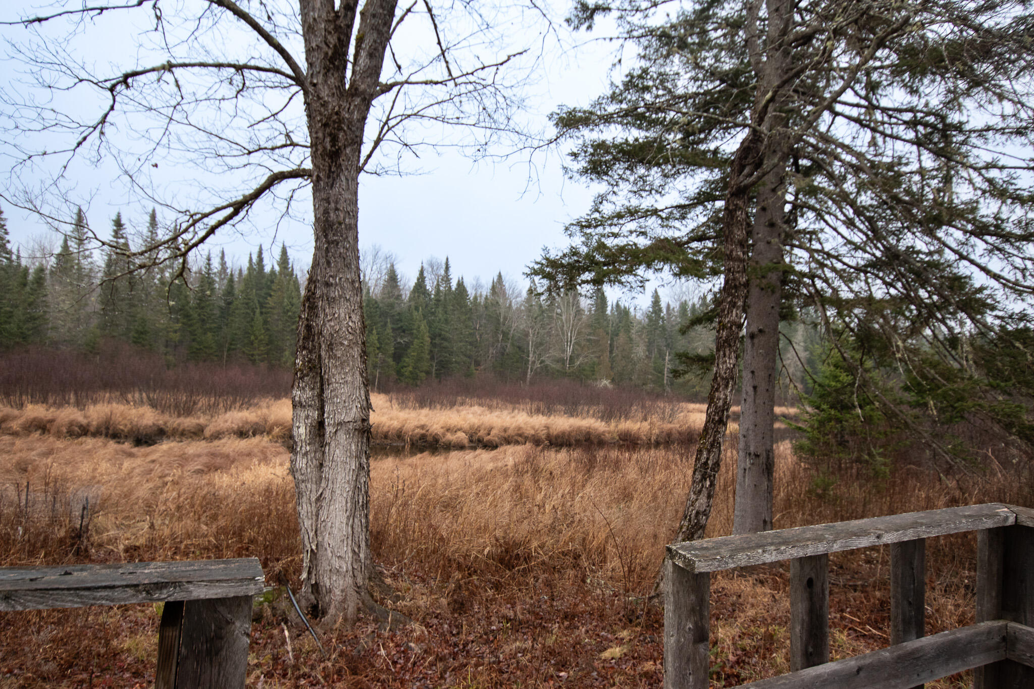 1 Bouchard Road Lagrange, ME 04453 - Photo 16 of 28 DSC_0048