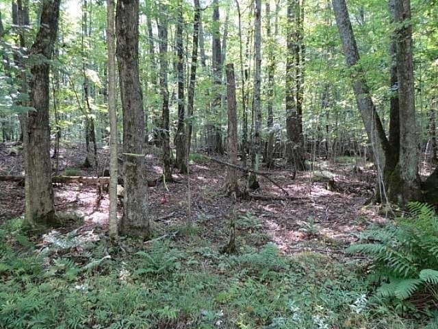 Lot 3 Timber Wolf Road Presque Isle, WI 54557 - Photo 15 of 19 Gallery Image 15