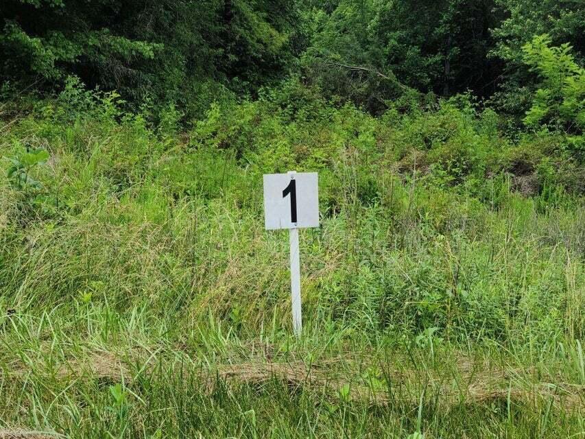 Lot 1 Dillards Hill Road Union Hall, VA 24176 - Photo 1 of 2 a view of a wooden fence