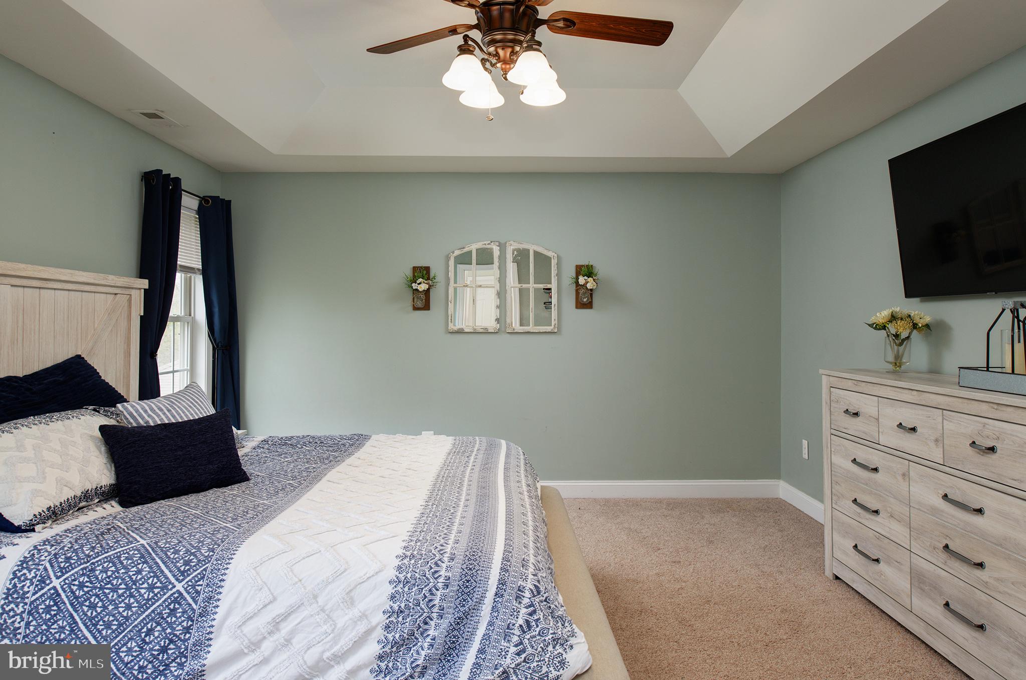 452 Canyon Road Winchester, VA 22602 - Photo 14 of 28 Owners Suite with Tray Ceiling & Walk in Closet
