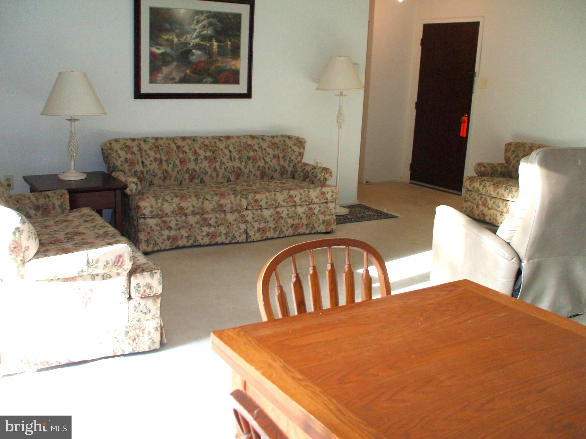 501 North Providence Road, Unit 221 Media, PA 19063 - Photo 4 of 29 20 x 13 Living Room