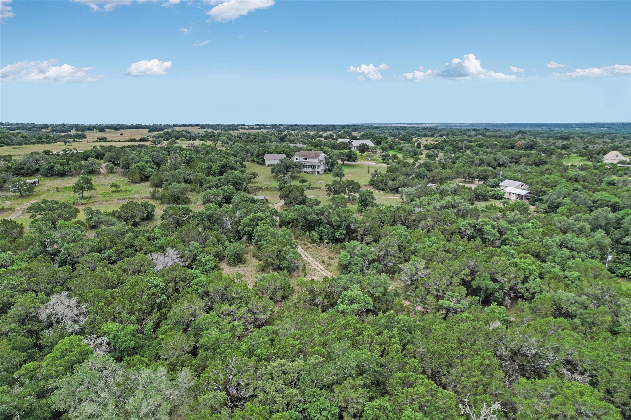 600 Abbey Road Liberty Hill, TX 78642 - Photo 37 of 40 Trees!