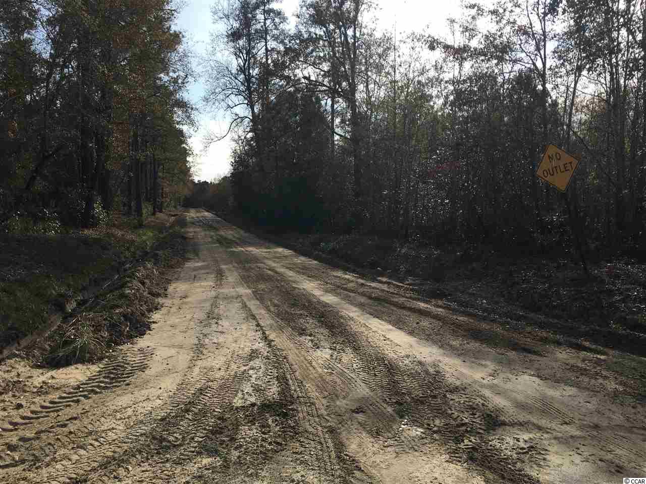1 Huckleberry Road Galivants Ferry, SC 29544 - Photo 8 of 11 Gallery Image 8