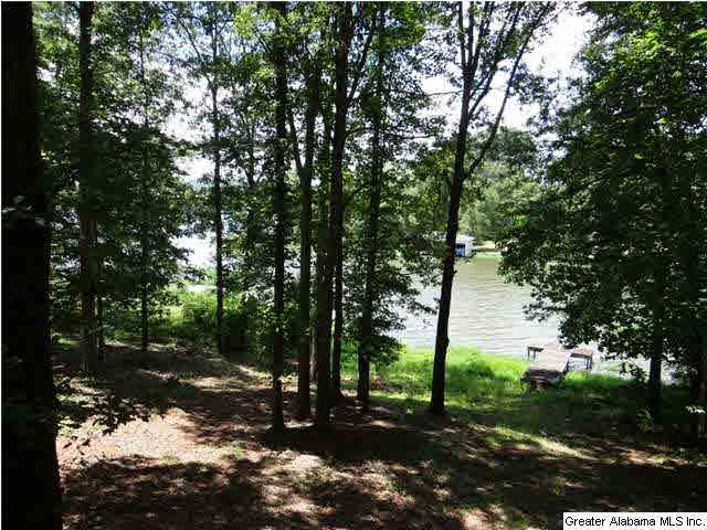 56 Christa Circle Shelby, AL 35143 - Photo 20 of 20
