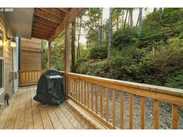 a view of a yard with plants and large tree