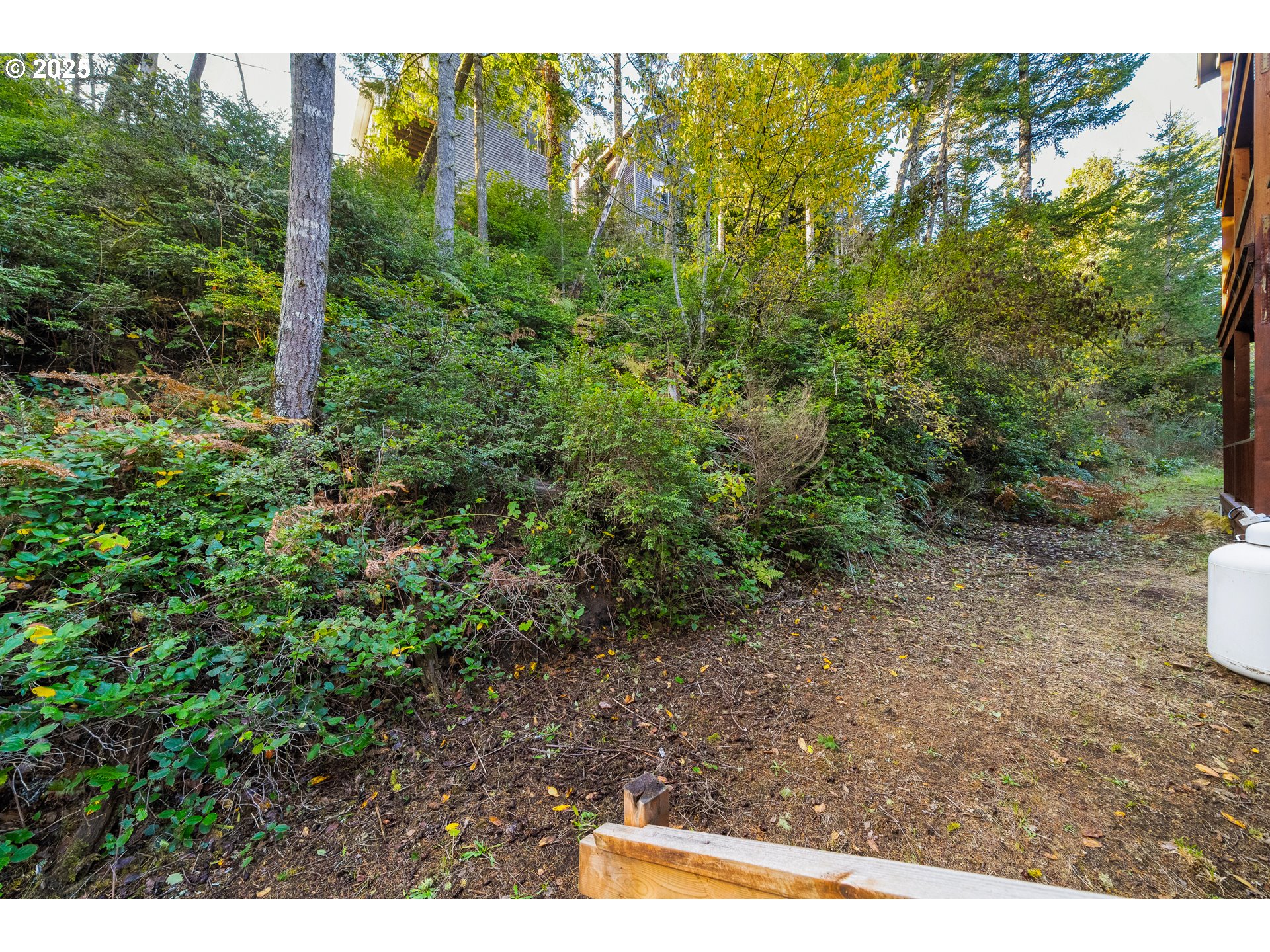 140 Breezee Way Tillamook, OR 97141 - Photo 44 of 46 a view of a yard with plants and large tree