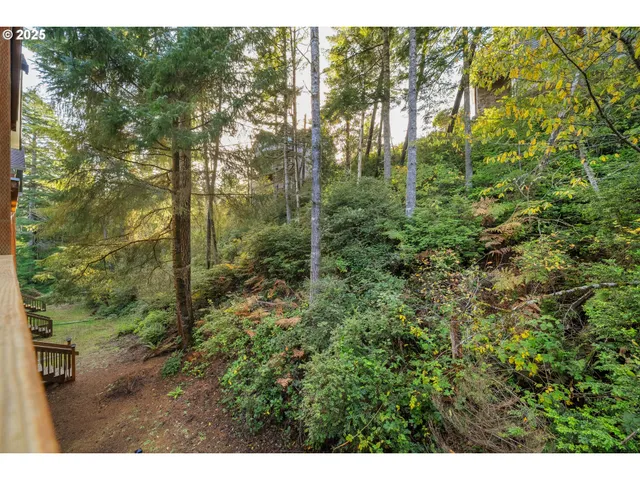 a view of a yard with plants and large trees