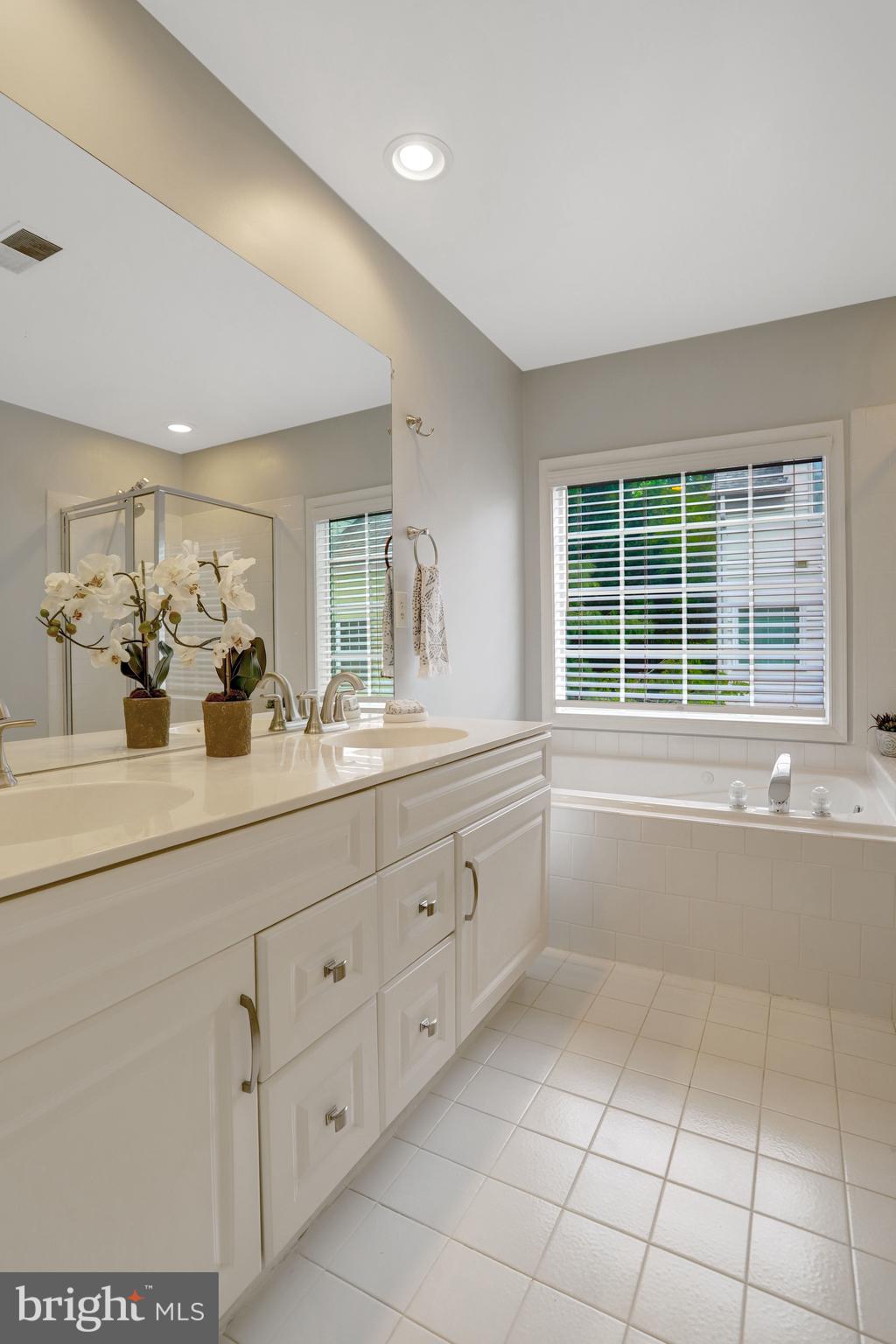 6043 Riddle Walk Alexandria, VA 22312 - Photo 20 of 53 Large bath with natural light, tub and shower.