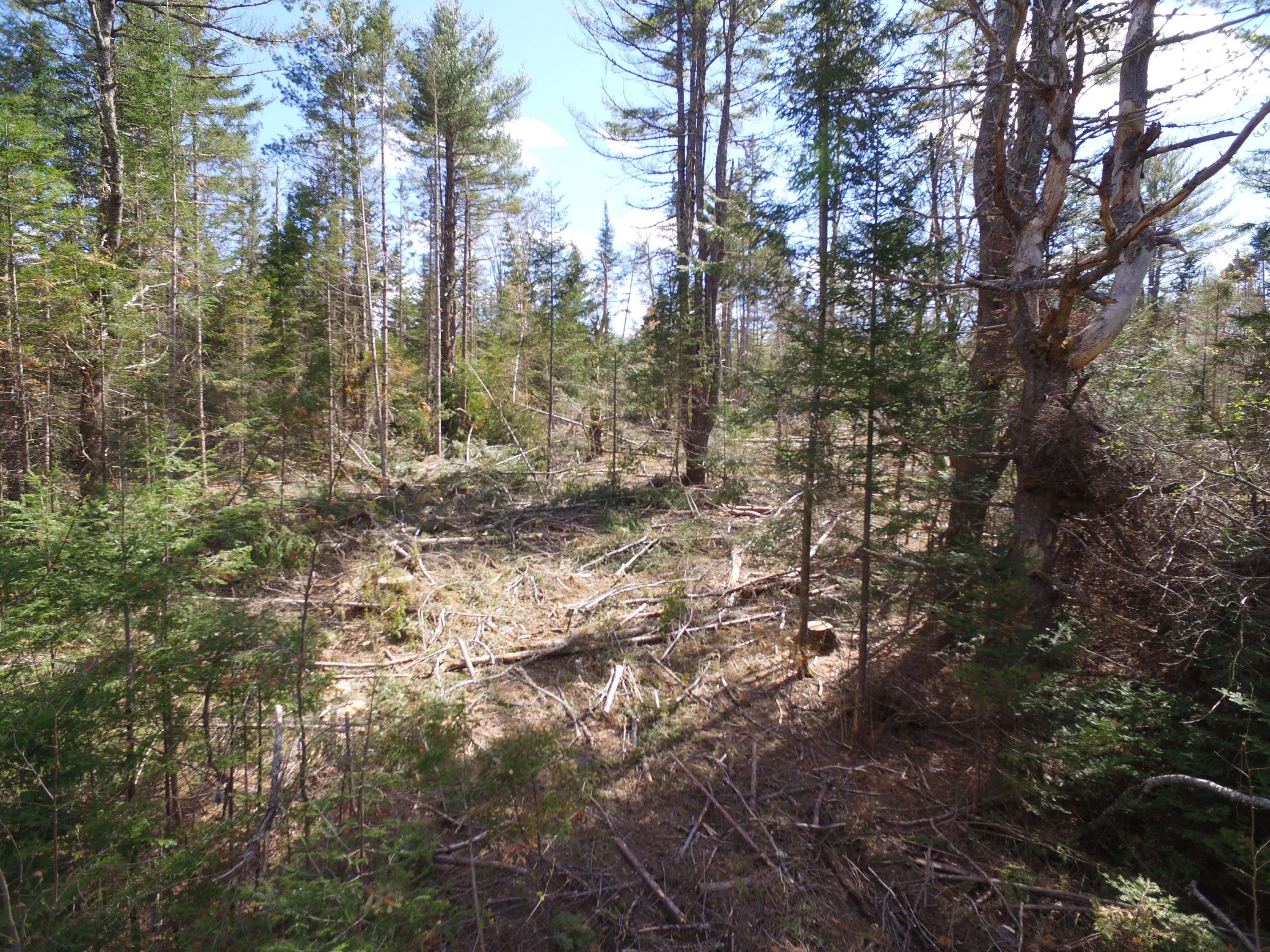 DJI_0283