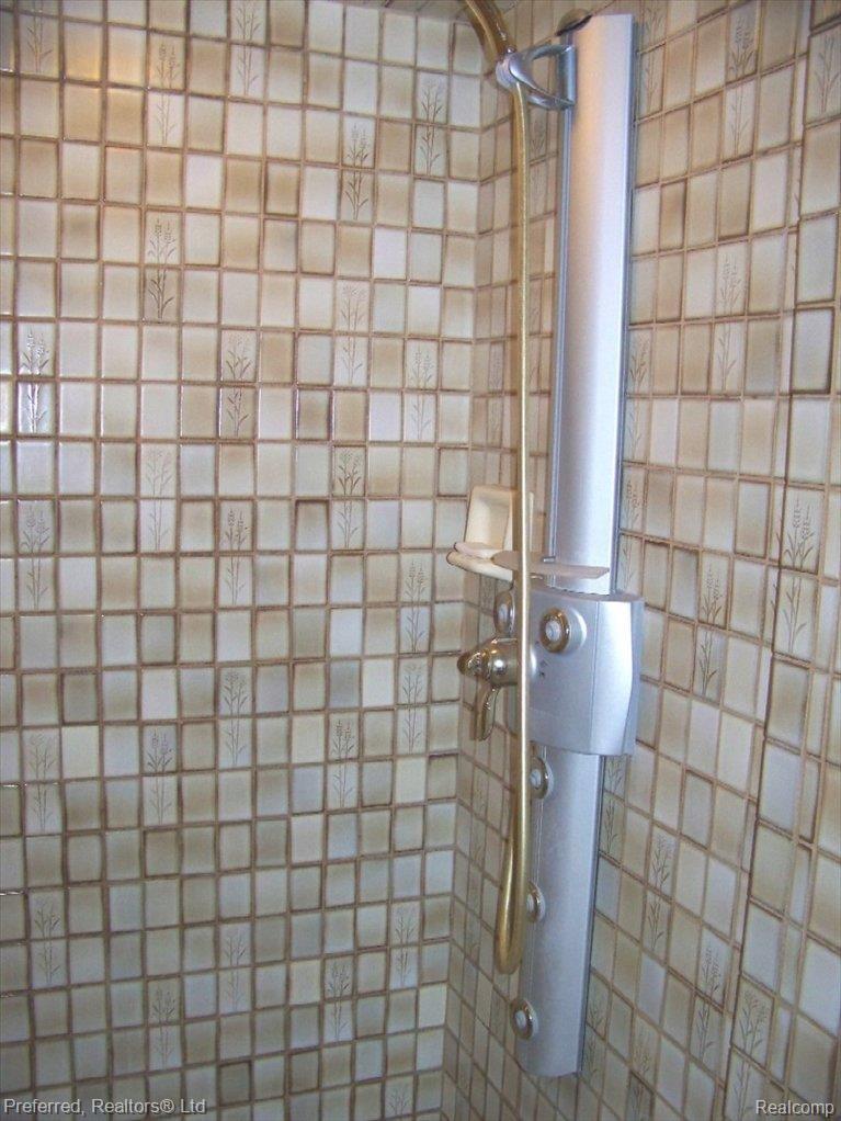 47100 Maben Road Canton, MI 48187 - Photo 22 of 23 "Massager"Ceramic Stall Shower
