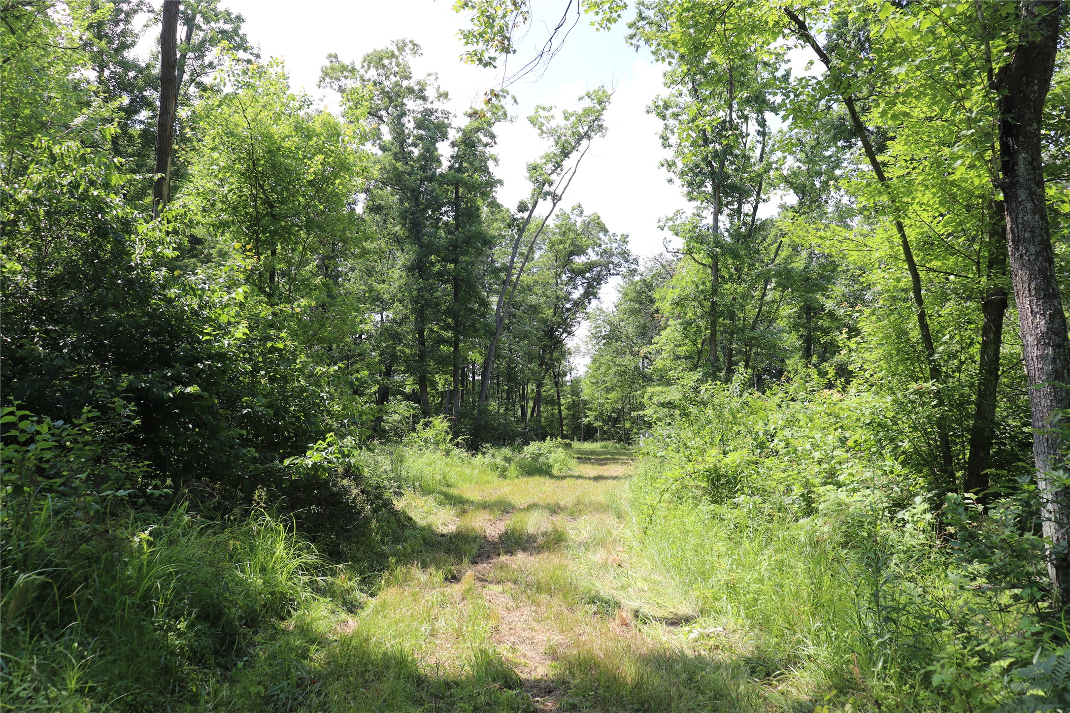 S11305 Kempton Road Augusta, WI 54722 - Photo 44 of 57