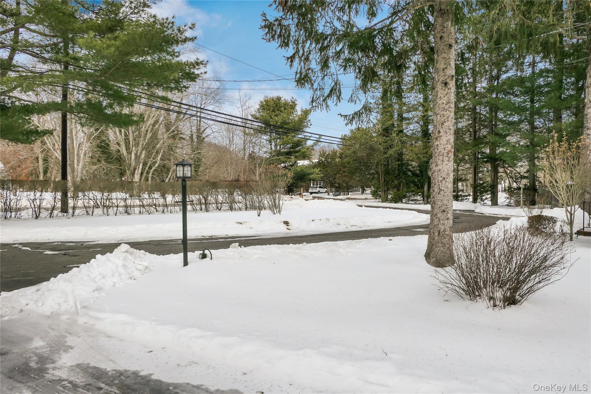 360 South Country Road Brookhaven, NY 11719 - Photo 38 of 41 Front Yard