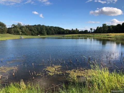 10374 Wilson Road Otisville, MI 48463 - Photo 31 of 99 Water view