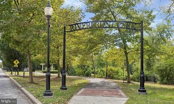 a body of water with a tree in the background