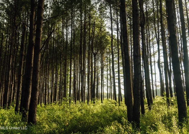 $1,295,000 | Weir-Highpoint Road, McCool, MS 39108