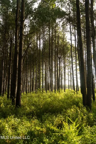 $1,295,000 | Weir-Highpoint Road, McCool, MS 39108