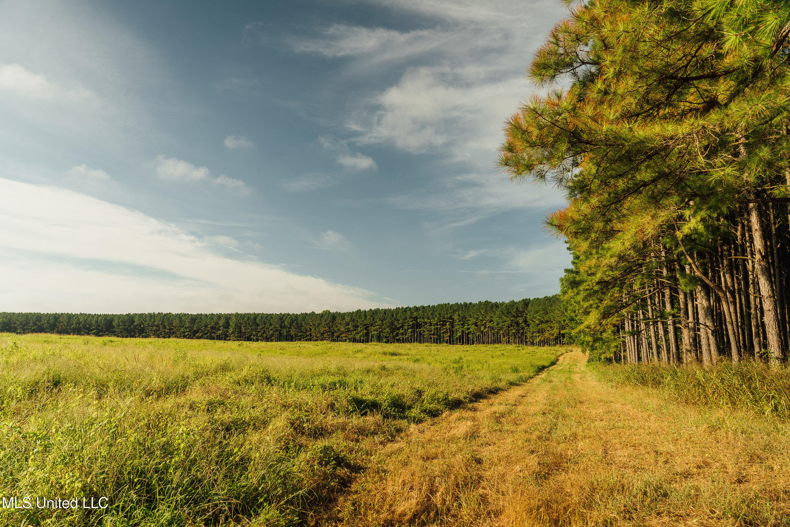 Weir-Highpoint Road McCool, MS 39108 - Photo 16 of 67 457 CHOCTAW PICS-26