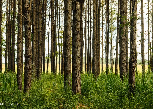 $1,295,000 | Weir-Highpoint Road, McCool, MS 39108