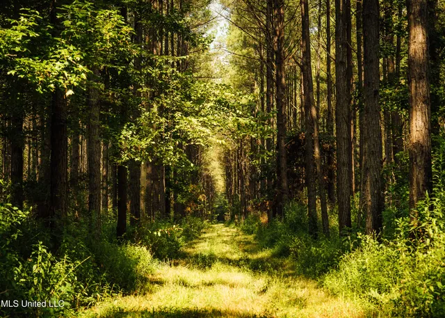 $1,295,000 | Weir-Highpoint Road, McCool, MS 39108