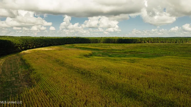 $1,295,000 | Weir-Highpoint Road, McCool, MS 39108