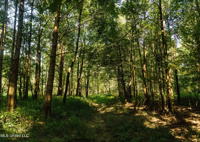 $1,295,000 | Weir-Highpoint Road, McCool, MS 39108