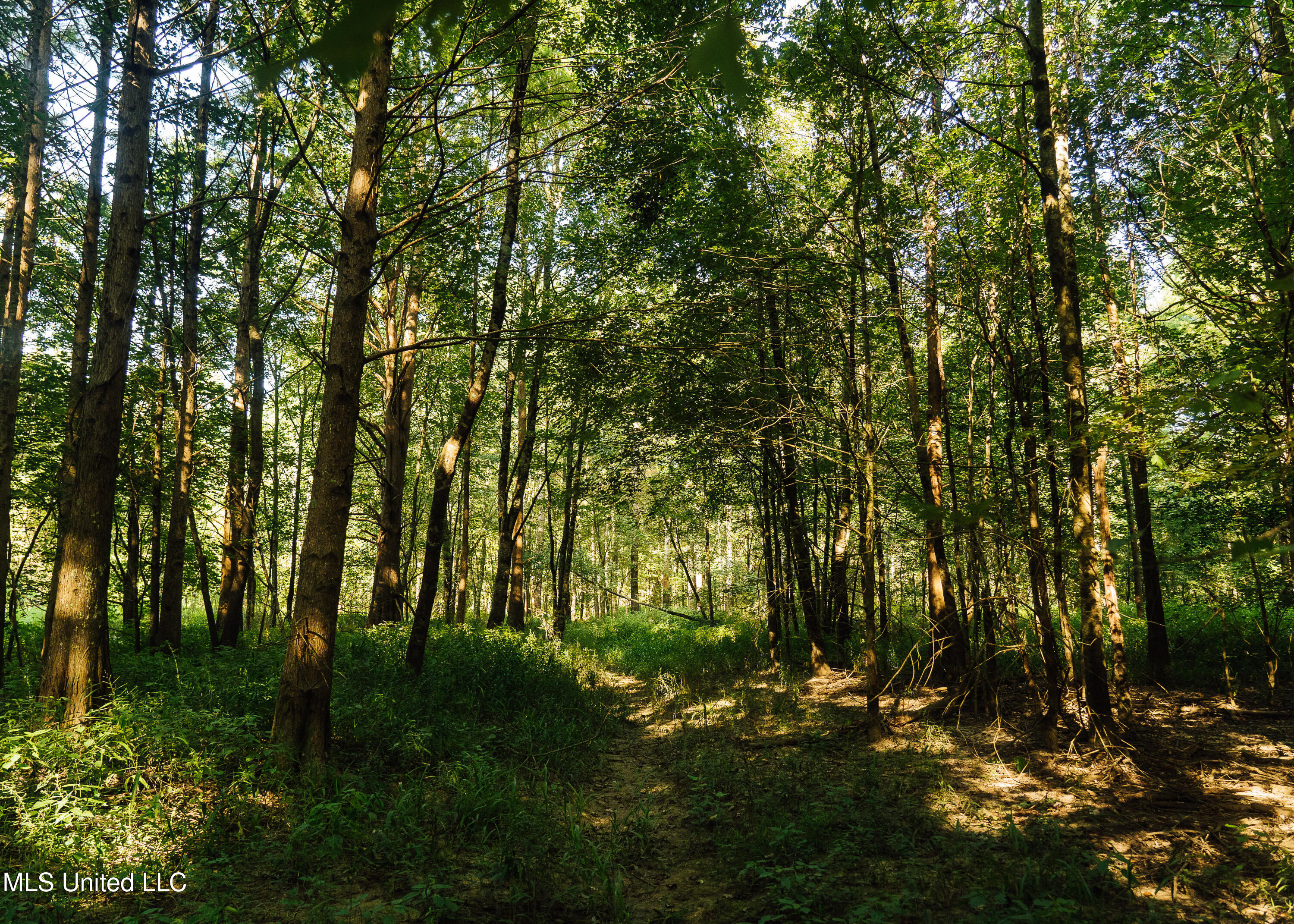 Weir-Highpoint Road McCool, MS 39108 - Photo 24 of 67 457 CHOCTAW PICS-38